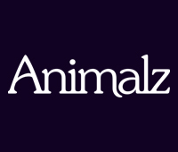 Animalz Revive