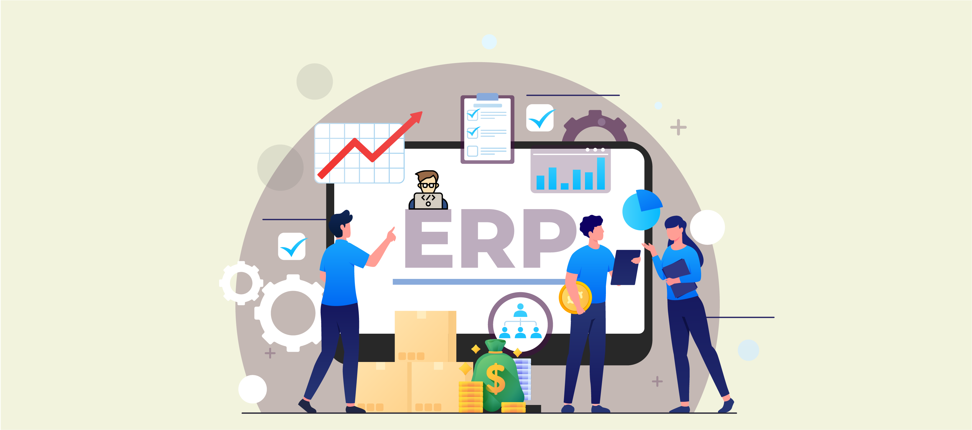 Future Outlook for ERP Software Development in India