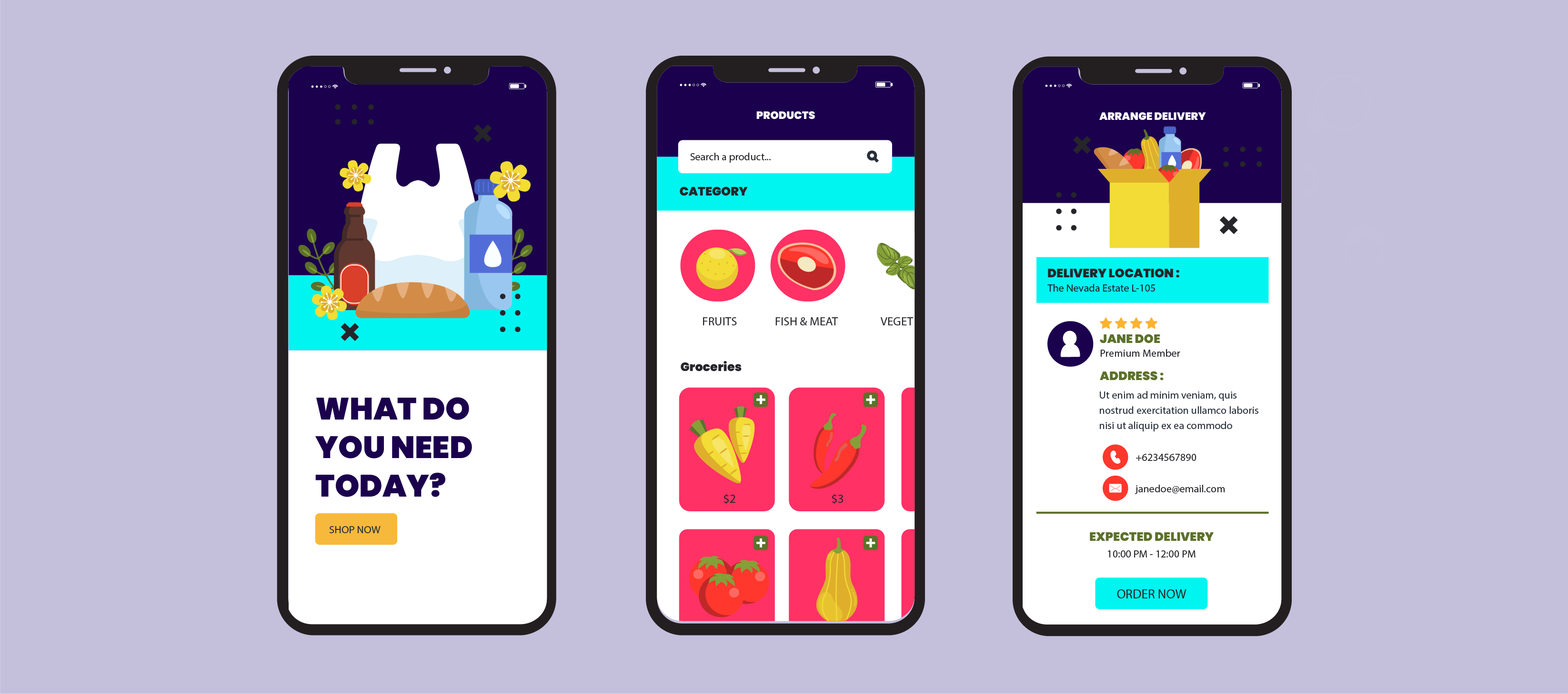 Top 10 Features to Include in Grocery Shopping App Development